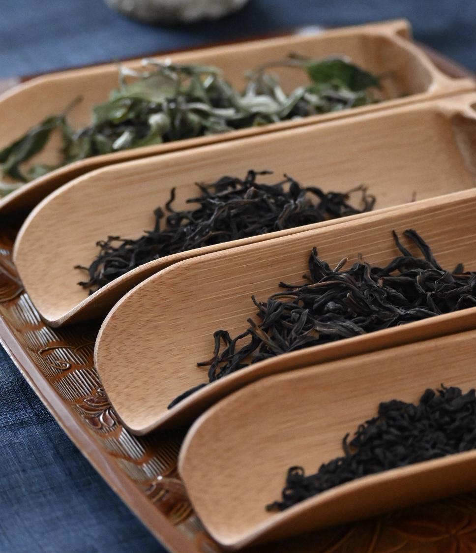 1/23（金）・1/24（土）イベントに出店いたします