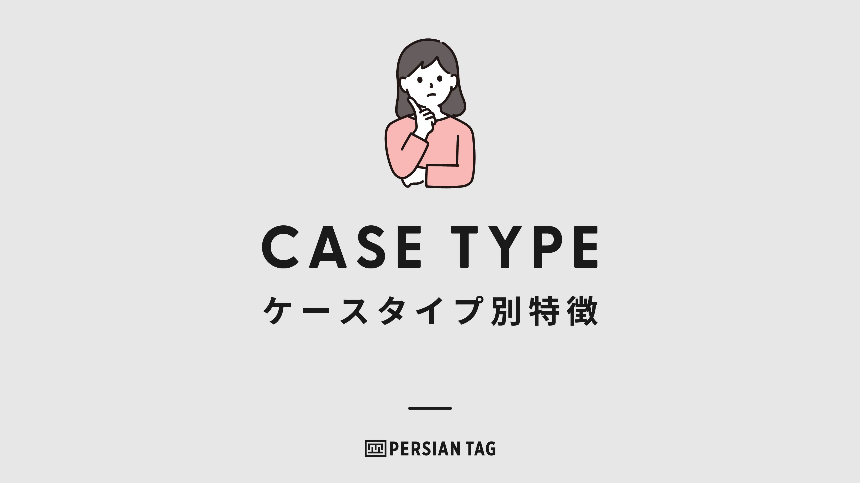 ケースタイプ別の特徴