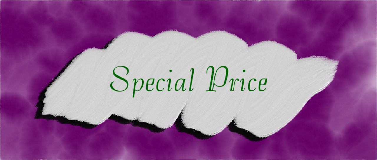 Special Price