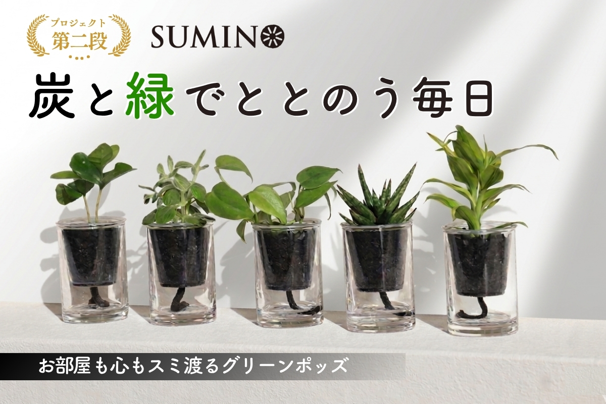 「炭の樹」がmachi-yaに登場します