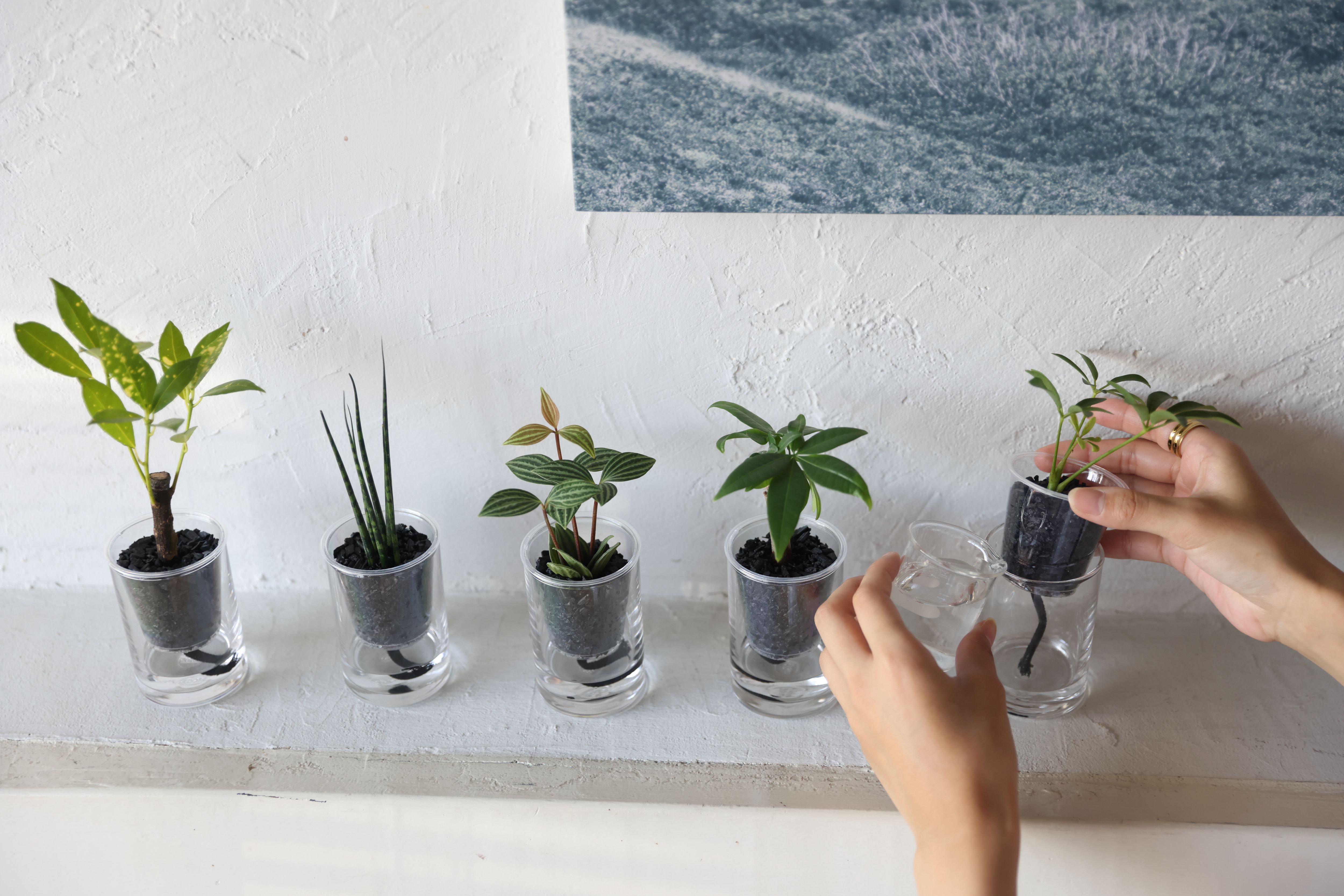 [高輪地区まつりwithTAKANAWA GATEWAY CITY]出店のお知らせ