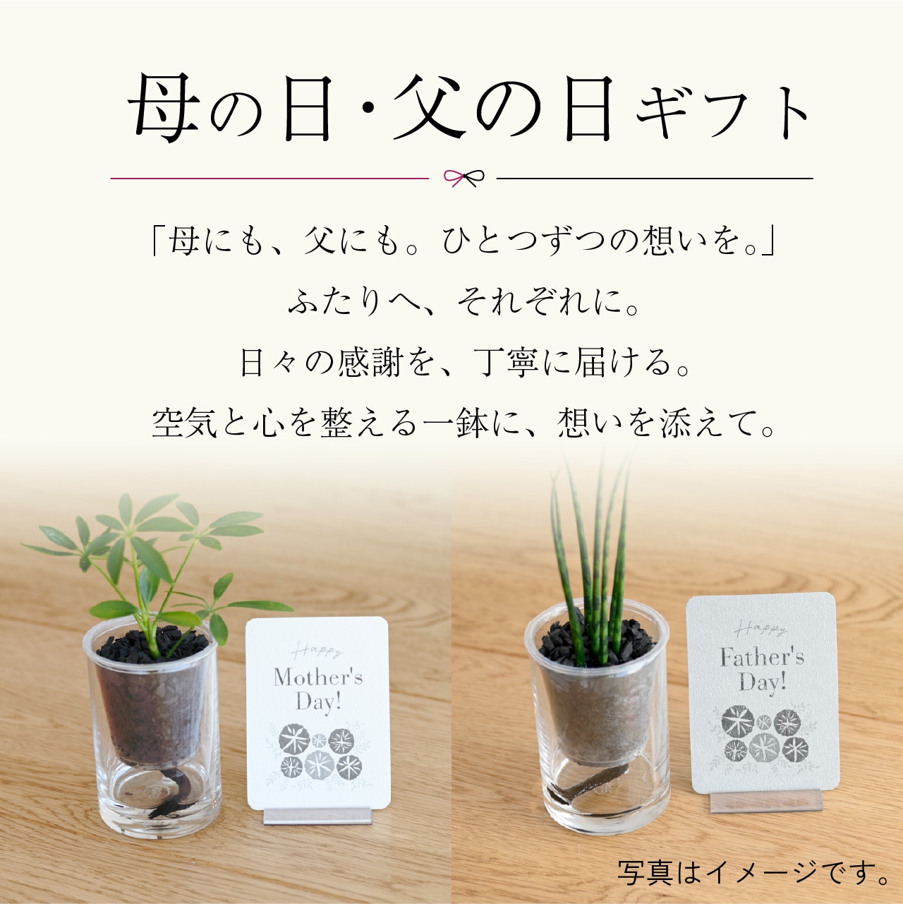 【母の日ギフト】ご好評につき、早割期間を4/30まで延長しました