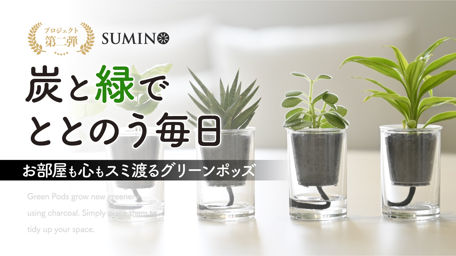 炭の樹 第二弾、4/1～いよいよ公開です！