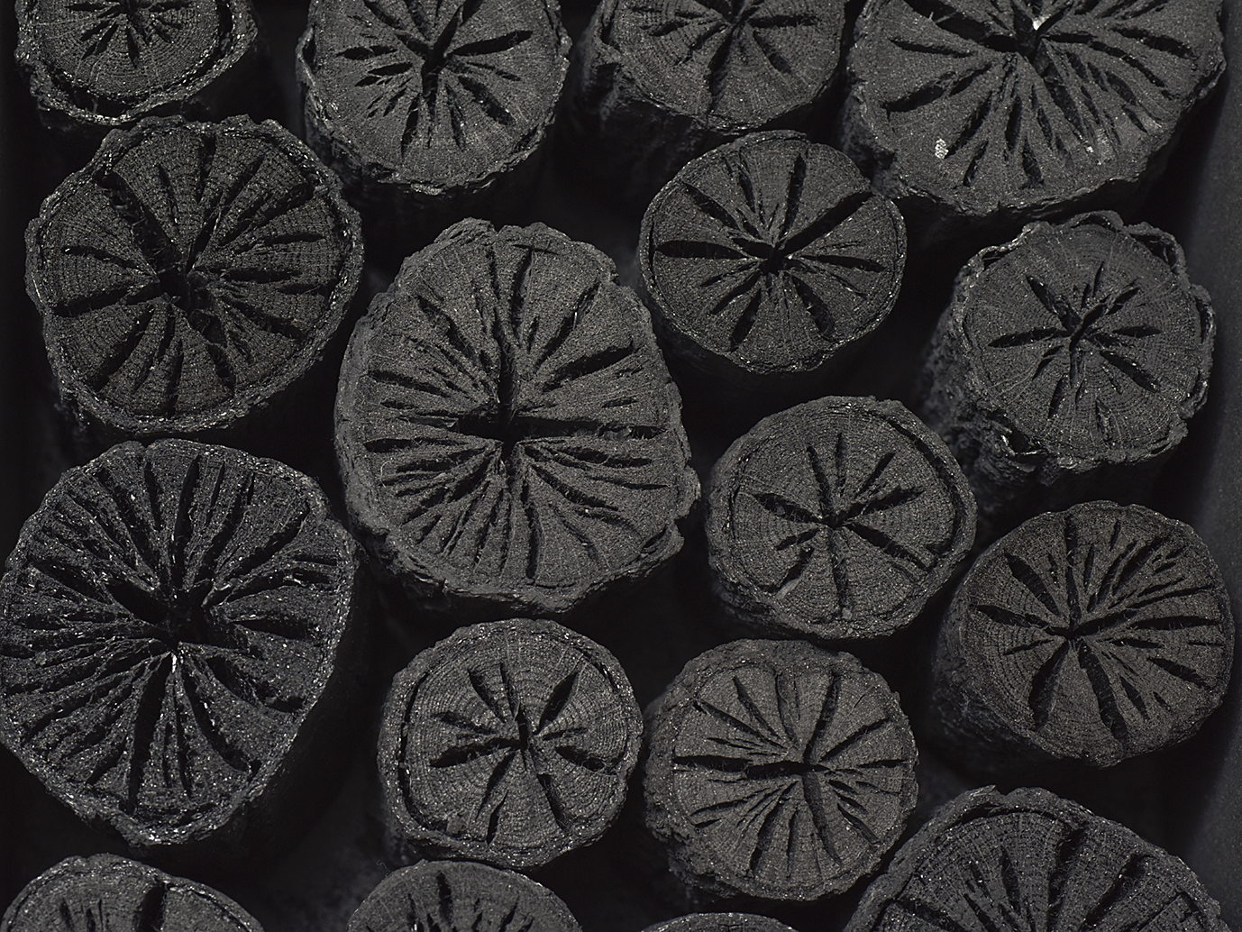 2026年、suminoの仕事始め