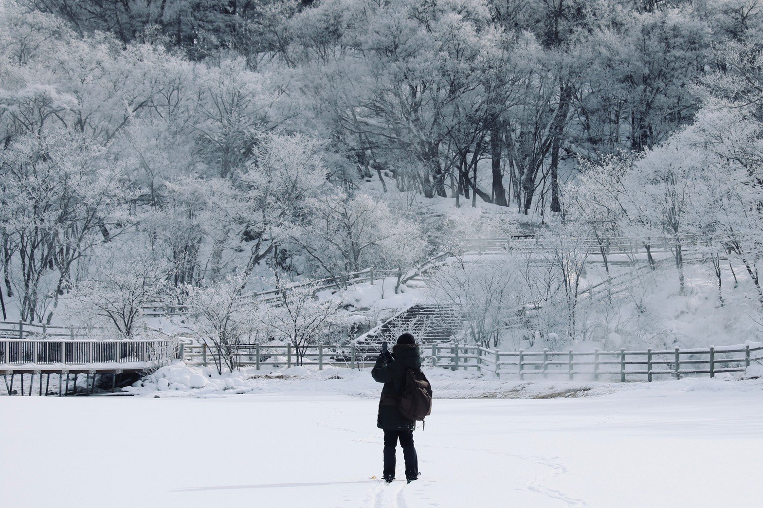 SNS活用に自分の好きなコトを発信する理由