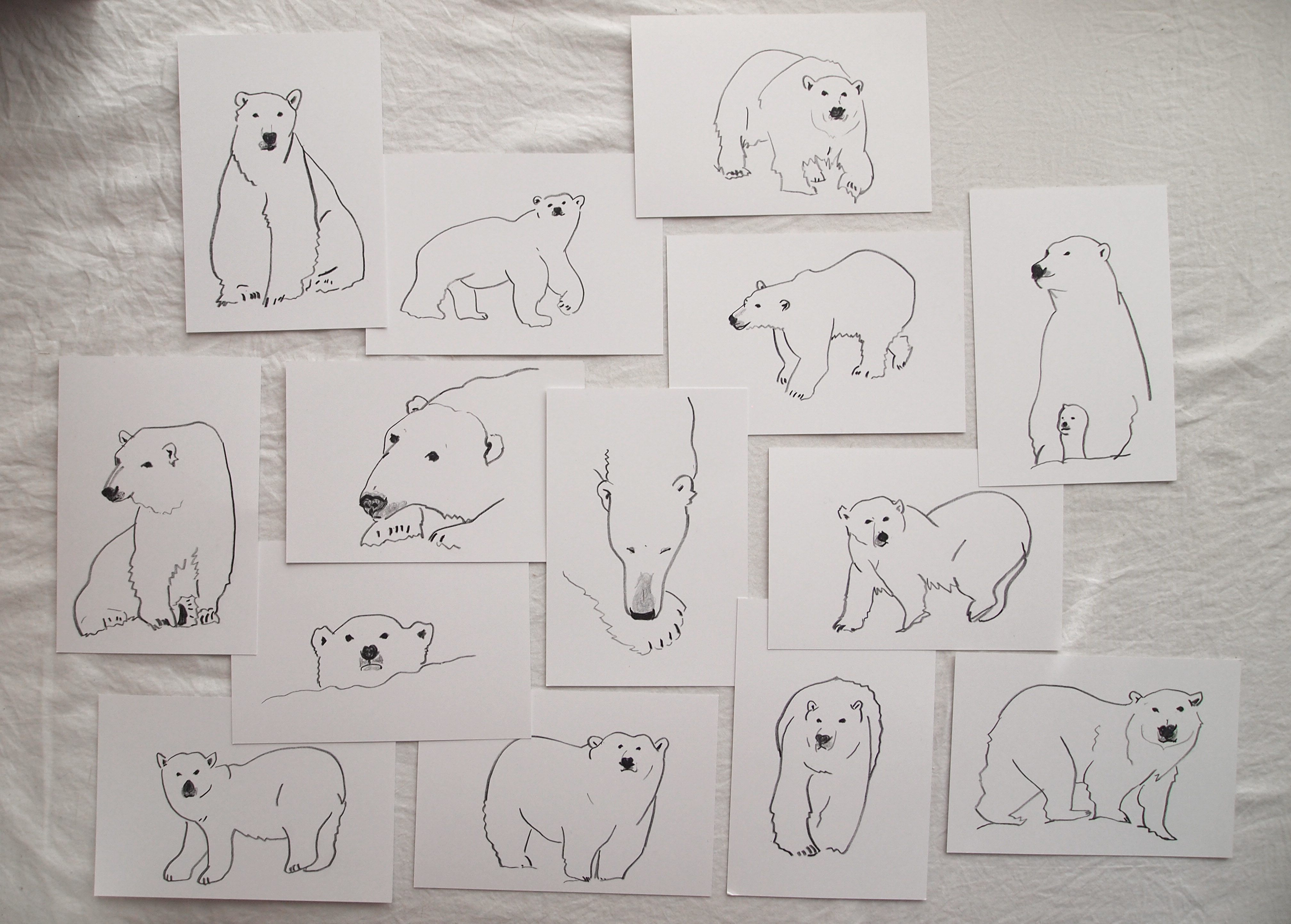 2月27日は国際ホッキョクグマの日