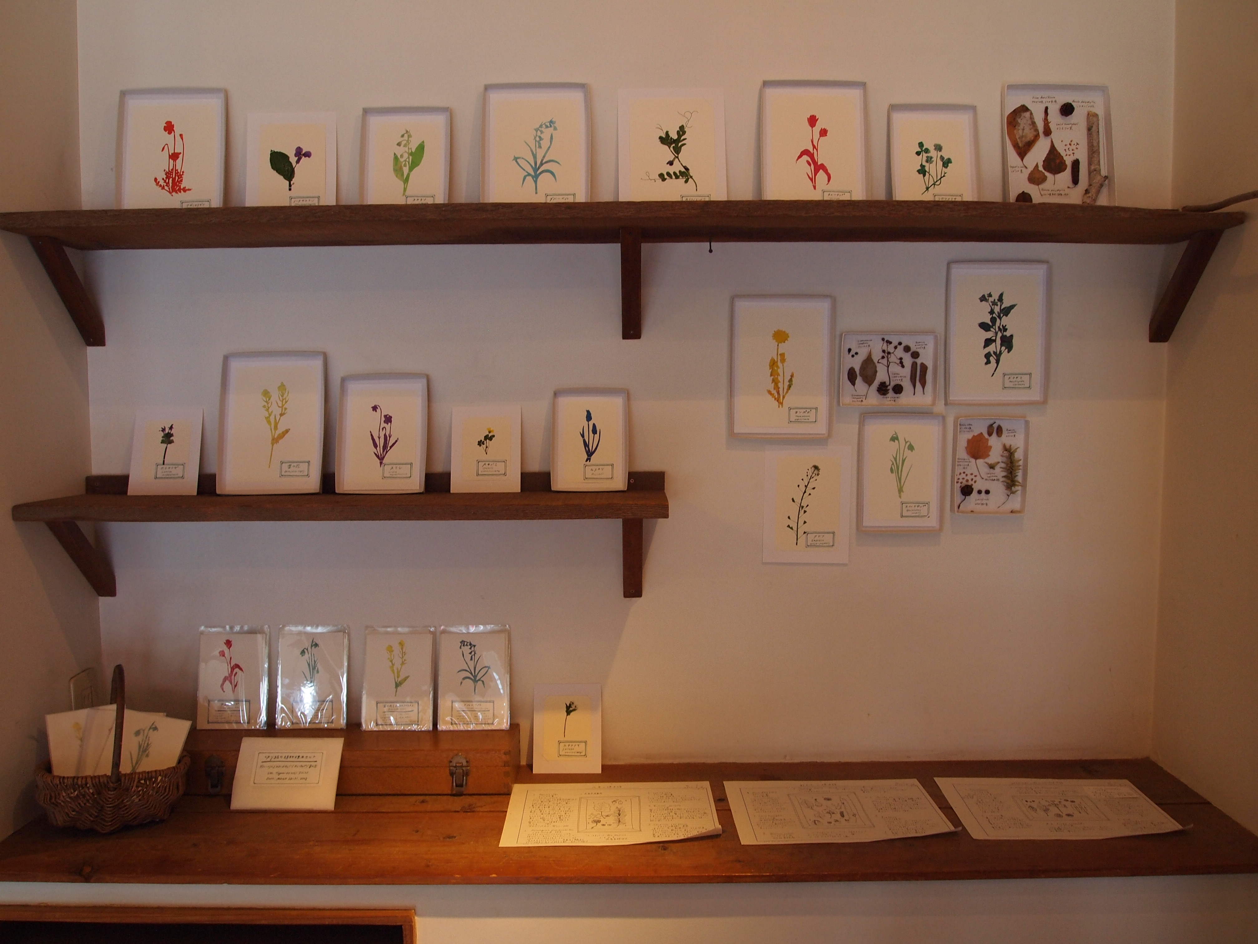 "切り絵の植物標本展"ありがとうございました