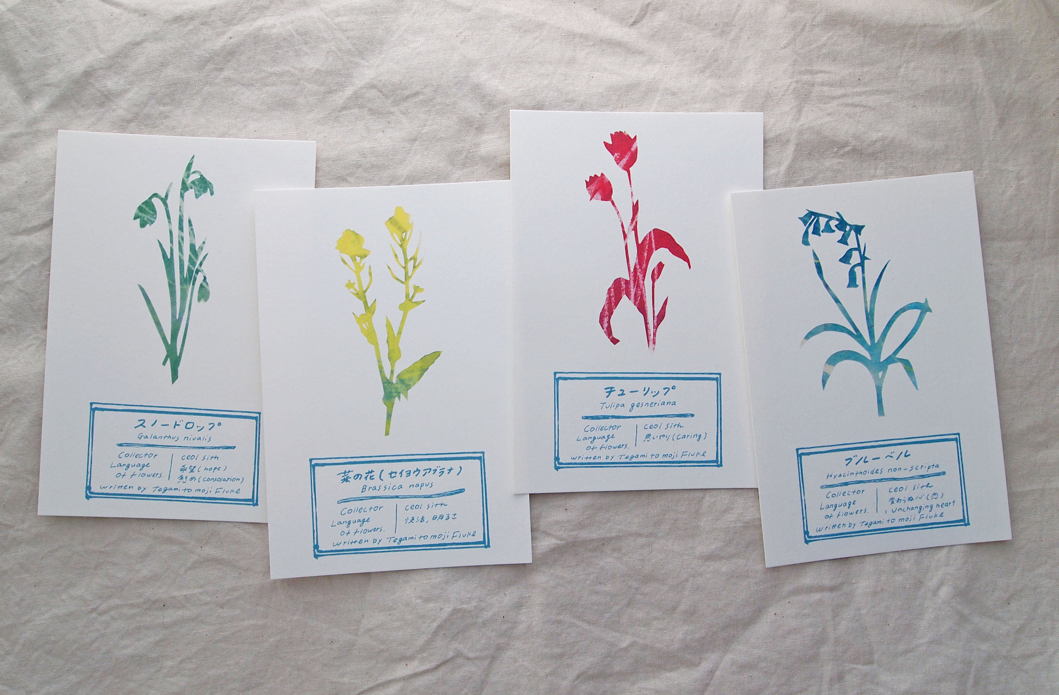 切り絵の植物標本ポストカード