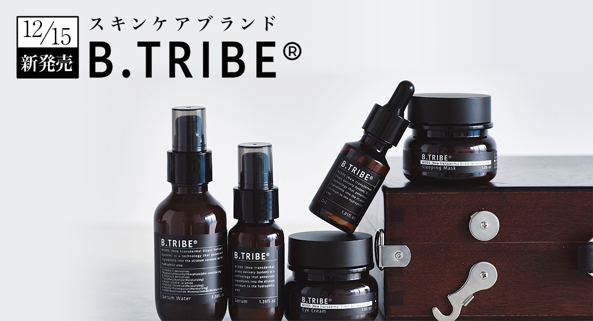 B.TRIBEとの出会い(NtDDS技術)