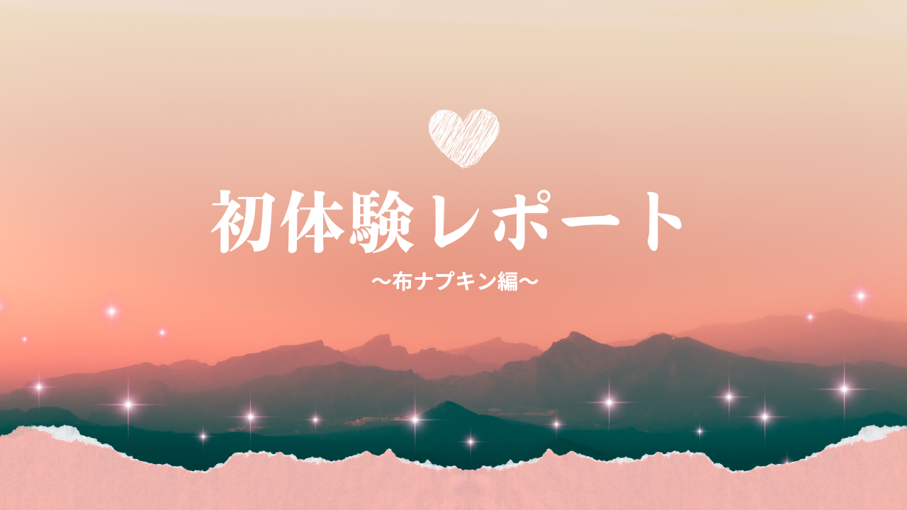 初体験レポート(布ナプキン編)