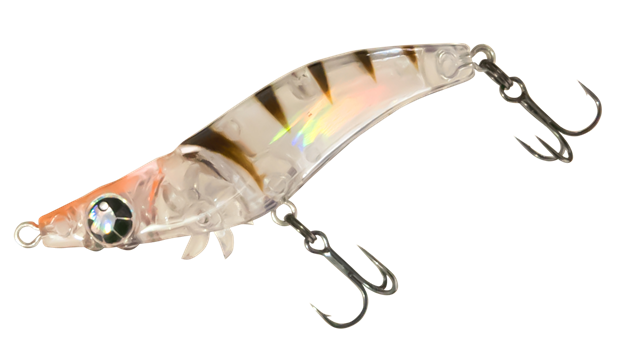 エビのさんぽの動画紹介