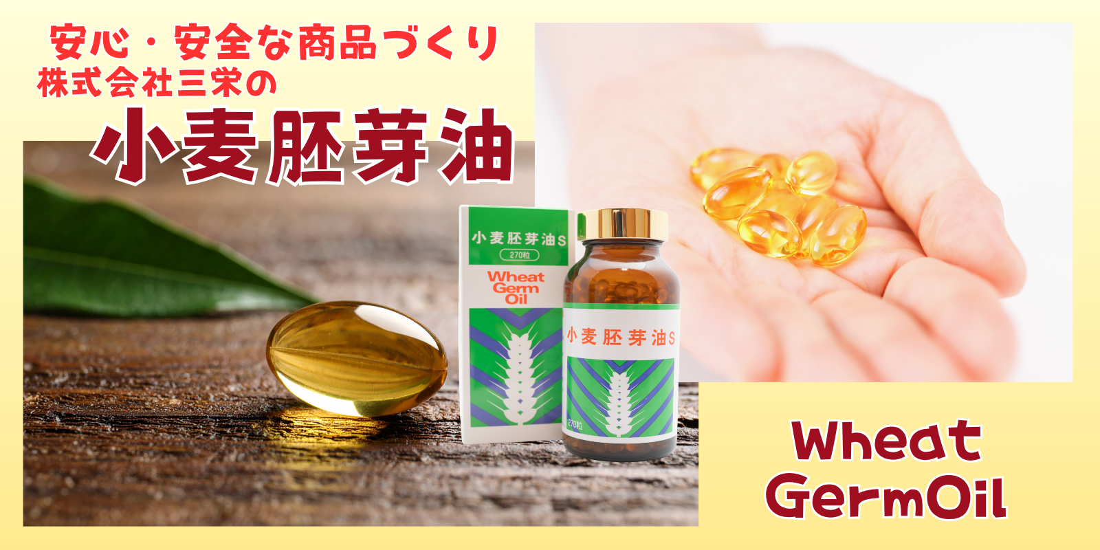 【小麦胚芽油】「小麦」「植物油」…それでも小麦胚芽油が安全な理由🌾