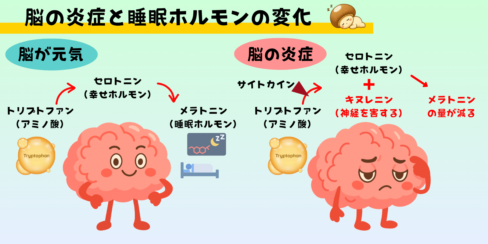 受験合格のために！体調管理は「脳のケア」から ─魚・大豆・きのこのススメ─