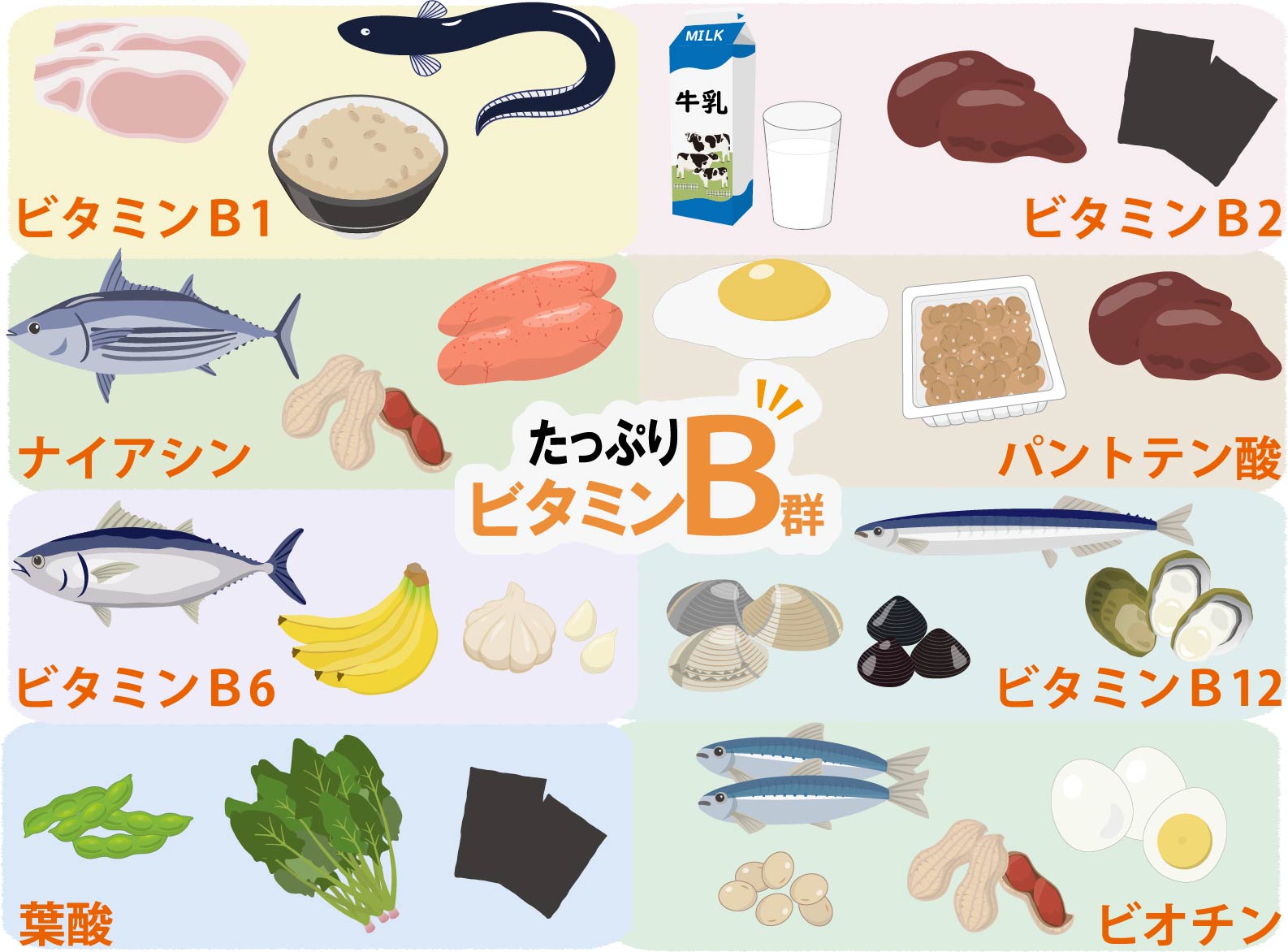 ビタミンBとうつ病の関連