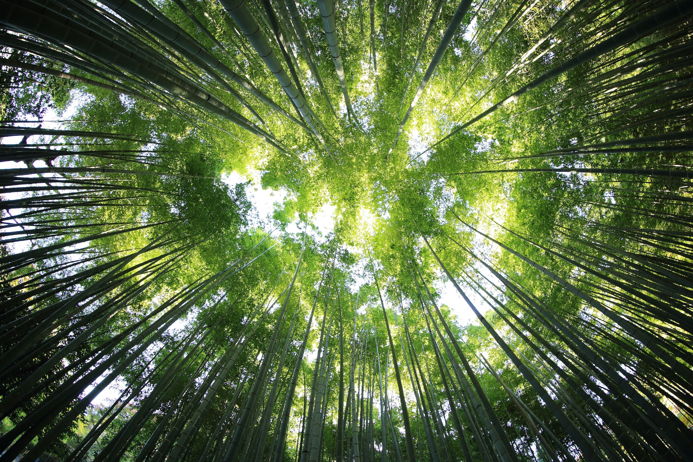 【moriの備忘録】森のホールを訪ねてきました。