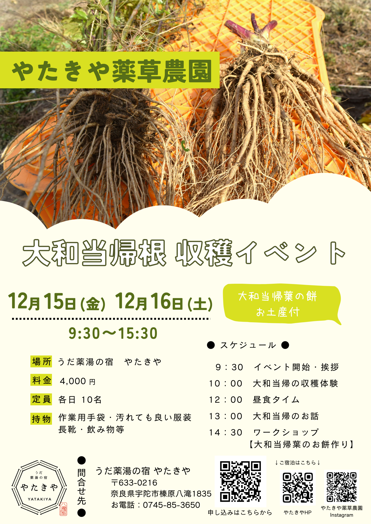 「やたきや薬草農園」で大和当帰の収穫体験を開催します！