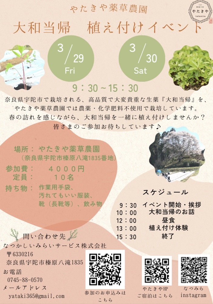 大和当帰の植え付けをしてみませんか？