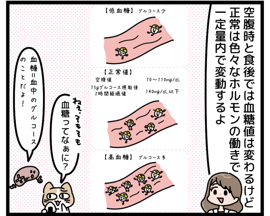 ③血糖値を下げる働き/脂肪がたまる理由