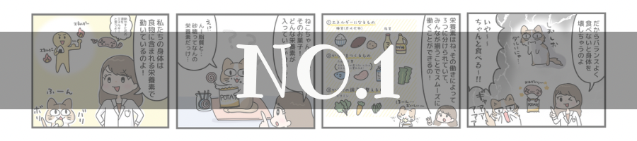 漫画で分かりやすい栄養学✏️糖質編