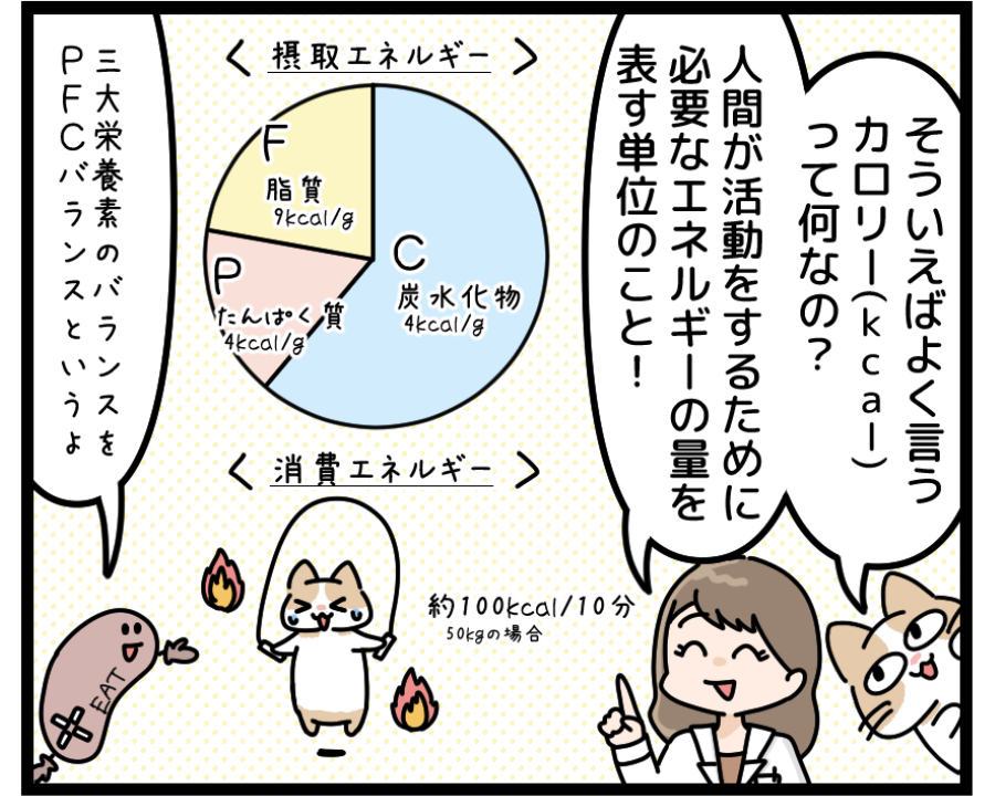 ⑦糖質の少ないお菓子の選択