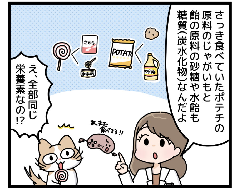 ②炭水化物について