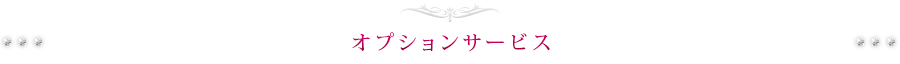 オプションサービス