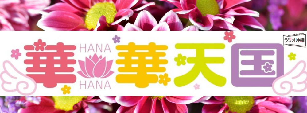 ラジオ沖縄『華華天国』にNanachiを取り上げていただきました！