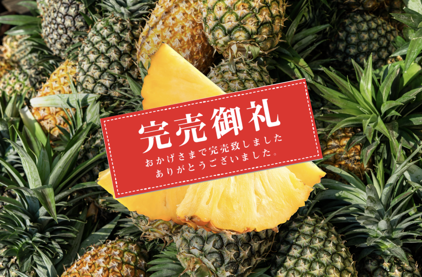 【お知らせ・完売御礼】2023年の台湾パイナップルの販売について、好評につき完売いたしました。