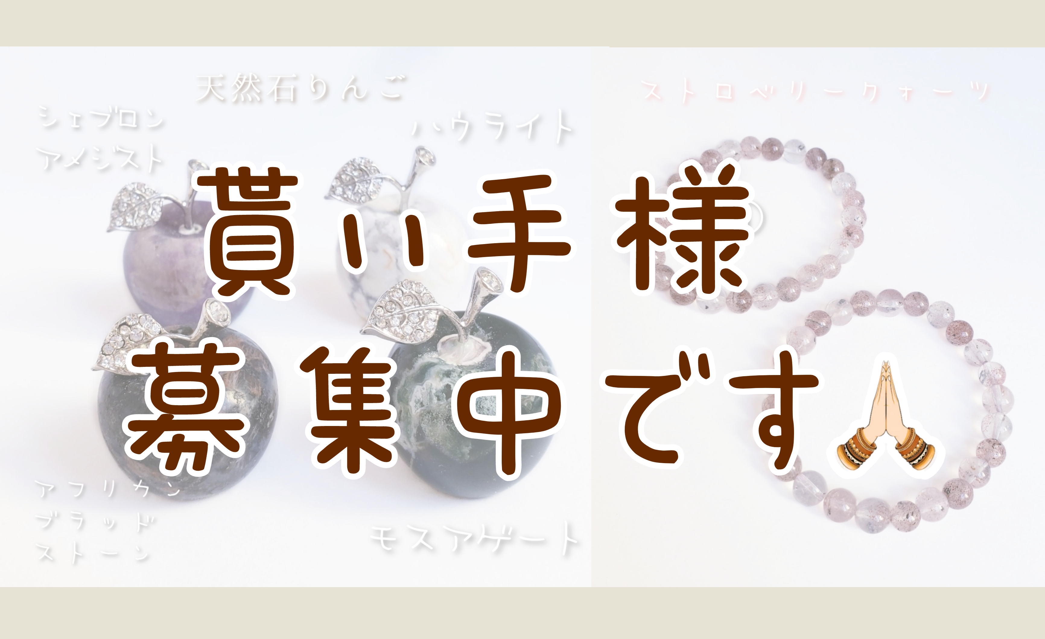 貰い手様募集中です🙏🏻