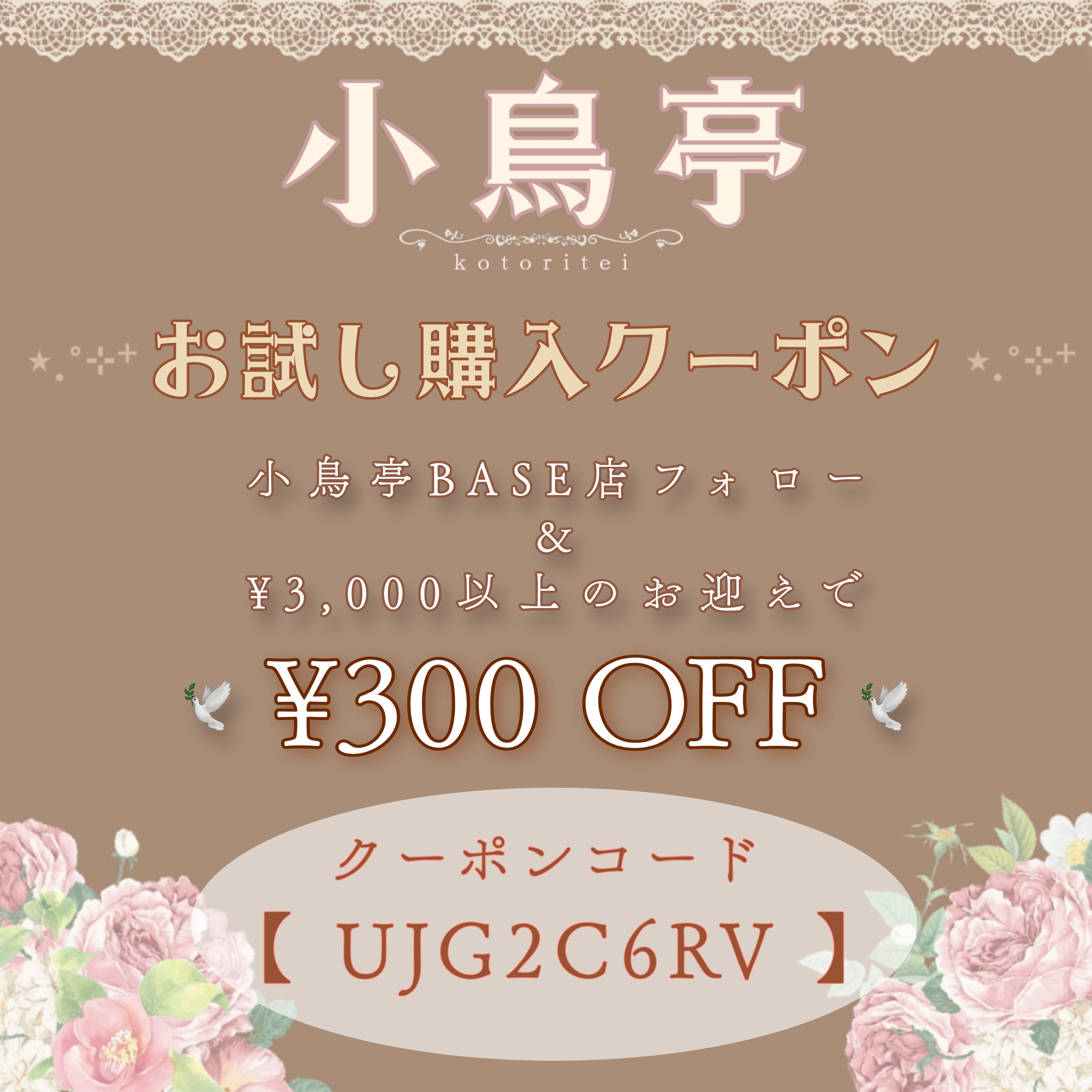 ✨🕊お試し購入クーポンのお知らせです🕊✨