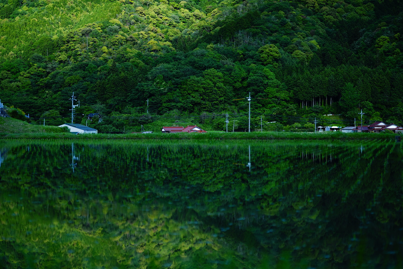 日トの手帖 始めました