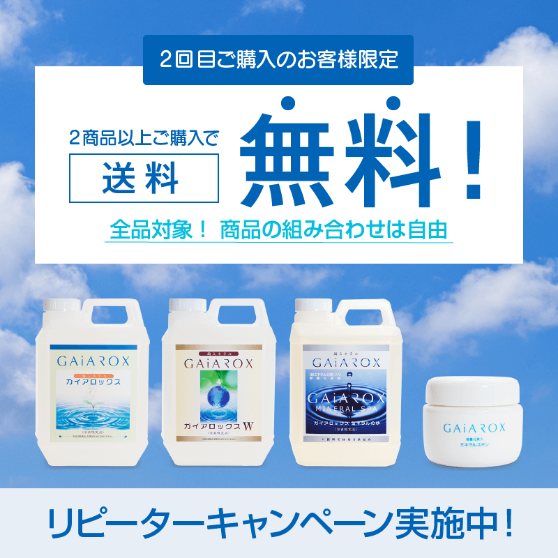 リピーターキャンペーン実施中！