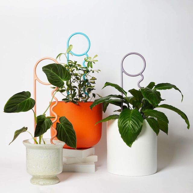 Lucky Thingsが描くサステナブルなデザイン　"植物と、あなたと、地球と。循環するデザイン"