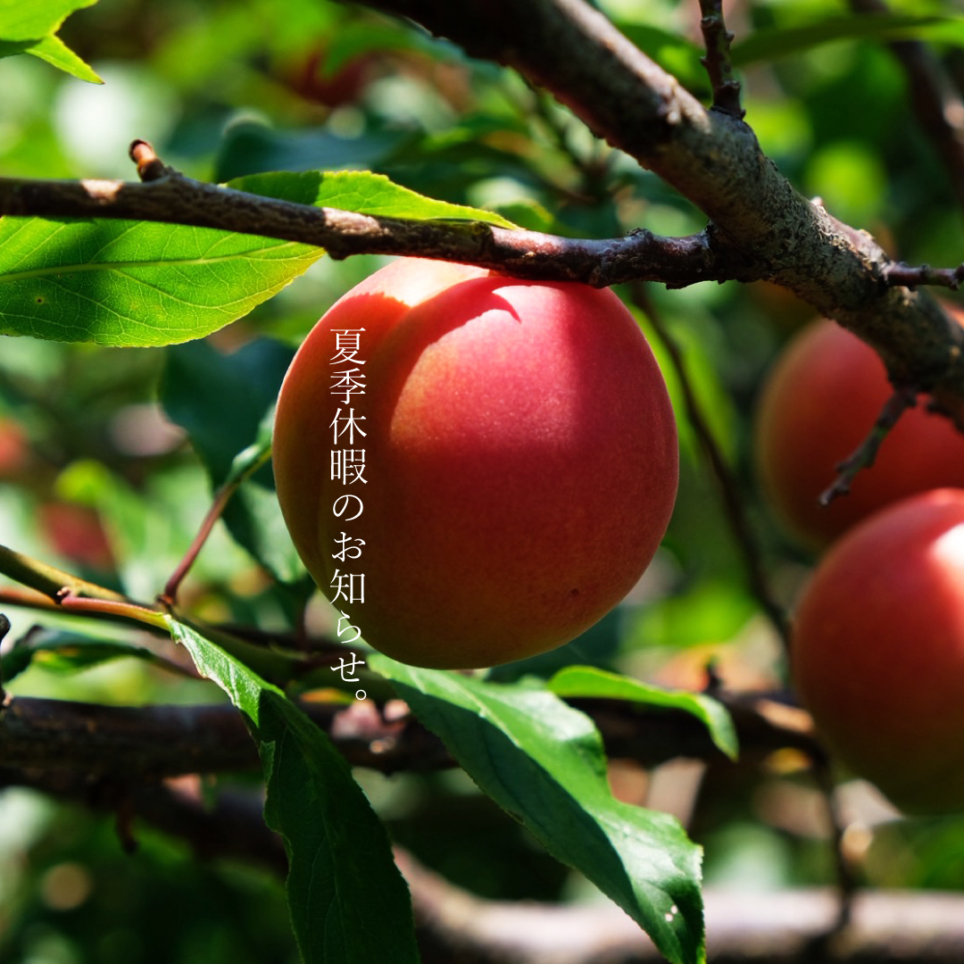 2026年度 夏季休暇のお知らせ Notice Regarding the 2026 Summer