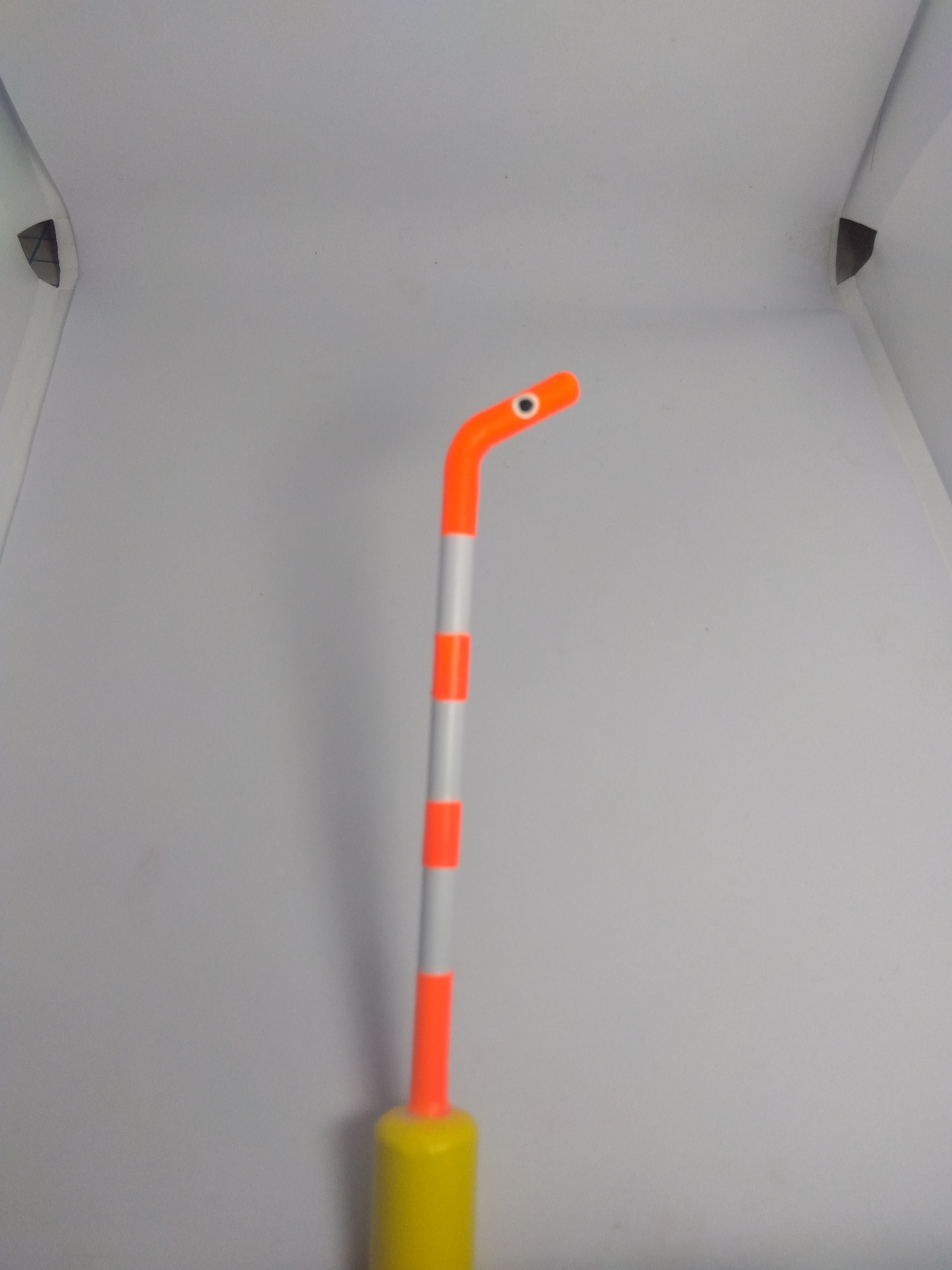 ニシキアナゴウキのヘッドの色