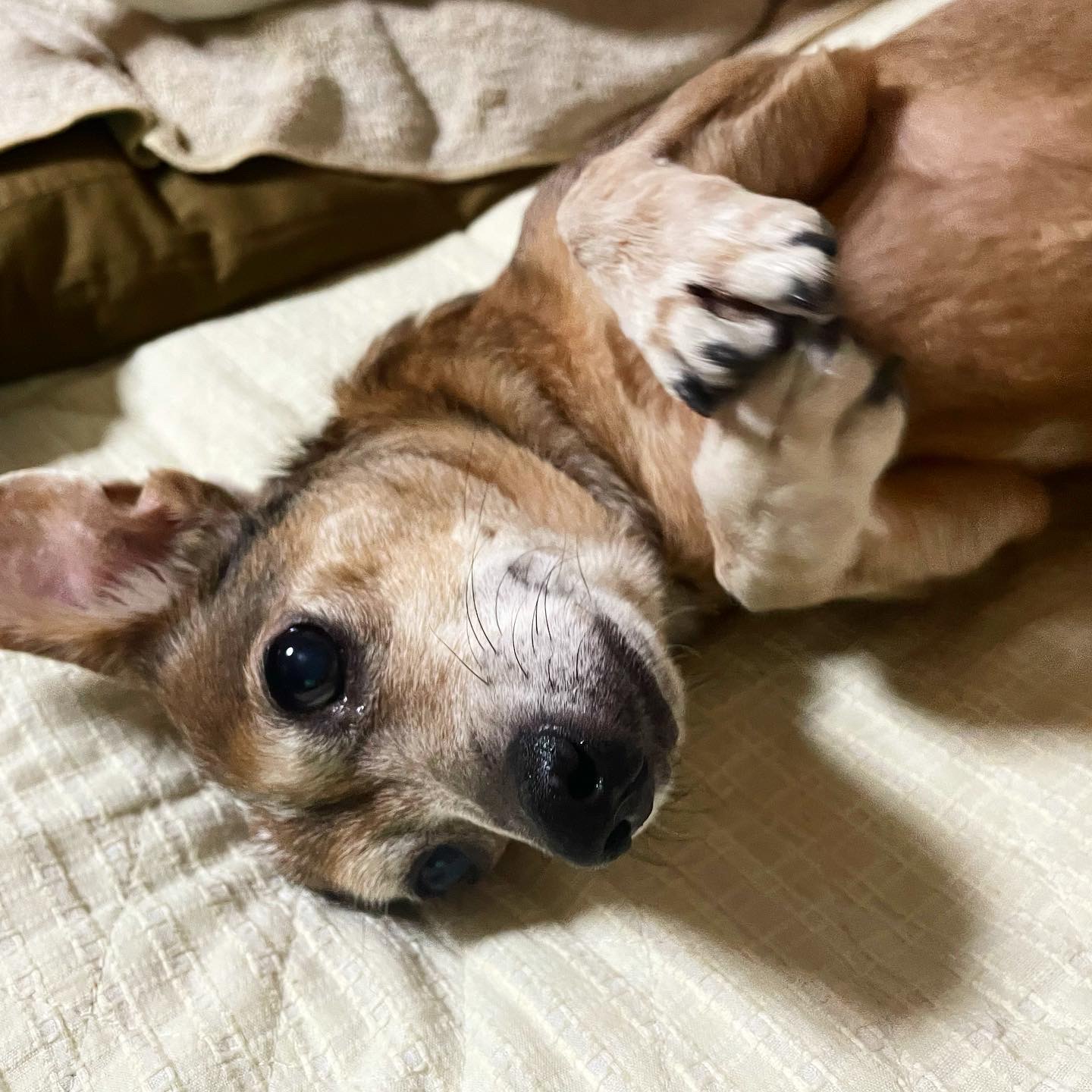 NEW OPENのご挨拶！