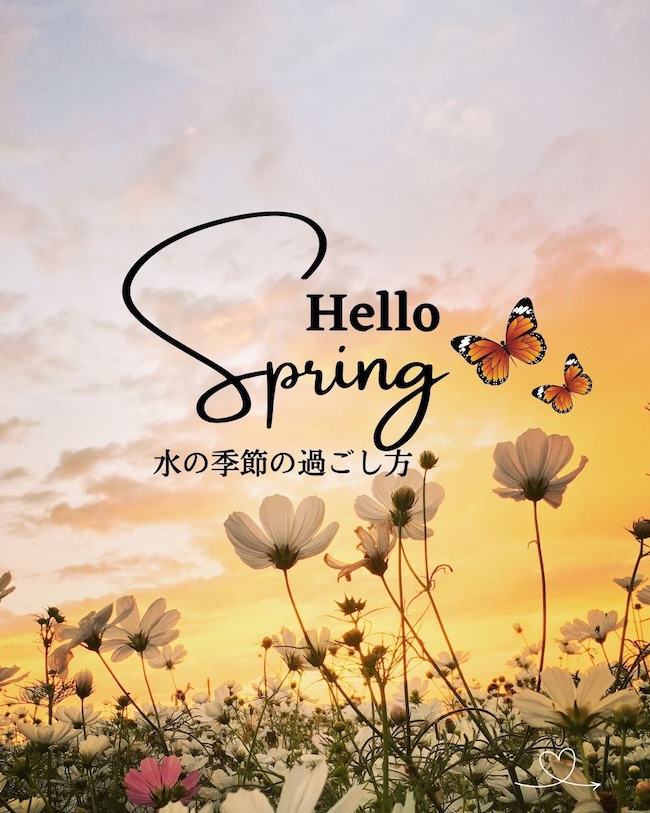 水のエネルギーって?アーユルヴェーダで春を軽やかに