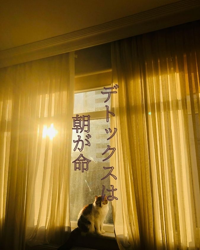 驚くほど体質が変わる!アーユルヴェーダの朝デトックス法