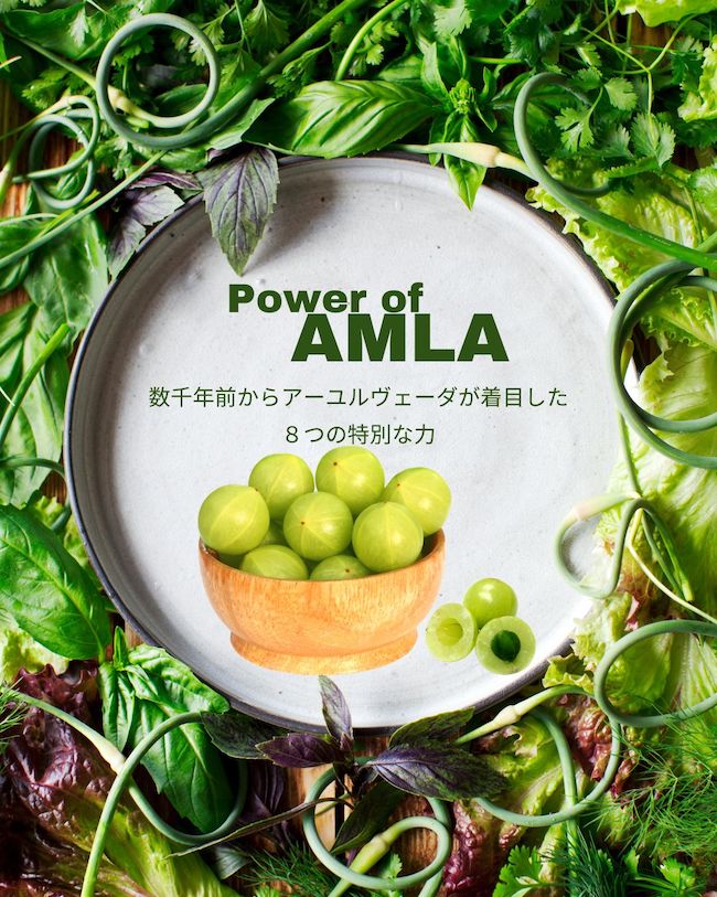 「アムラ」数千年前から注目されてきた、8つの特別な力