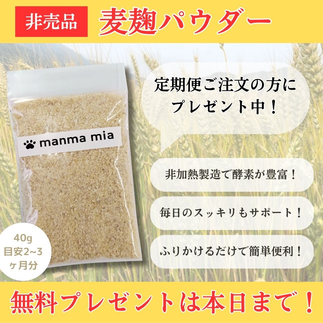 本日まで！定期便ご注文の方へ『麹パウダー1袋』無料プレゼント実施中です！