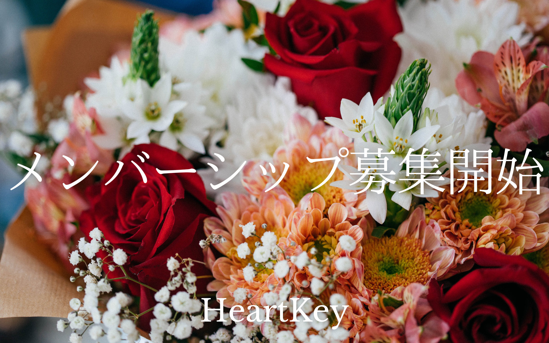 メンバーシップ募集開始！！