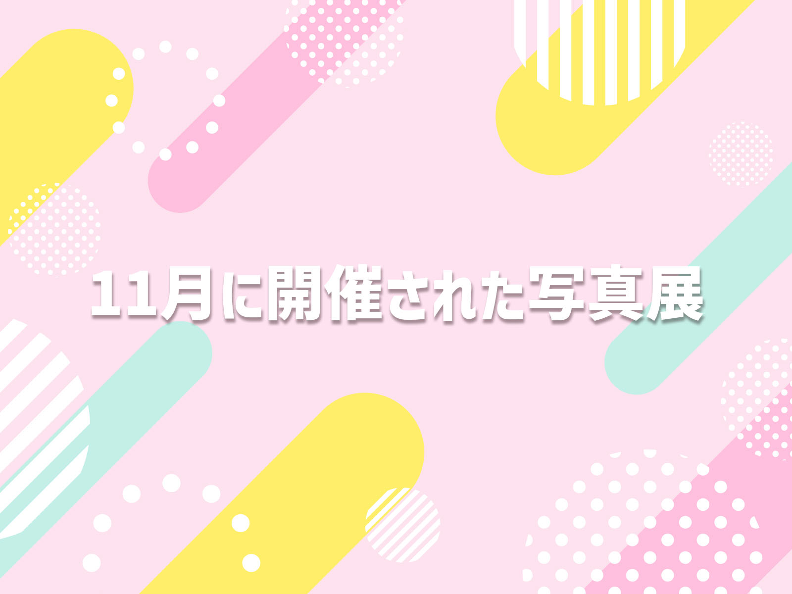 11月に開催された写真展✨