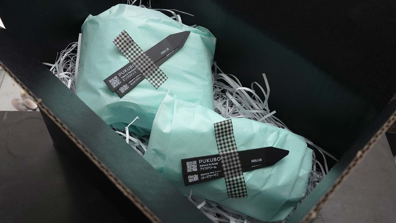 ゆうパックがかわいくなりました！