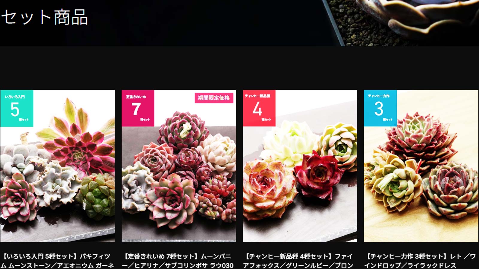 セット商品の継続販売がスタート！