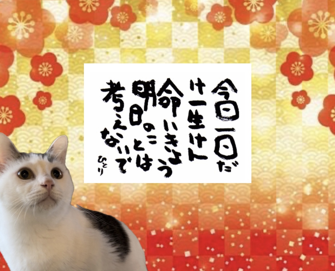 今日一日だけ 一生けん命いきよう 明日のことは考えないで