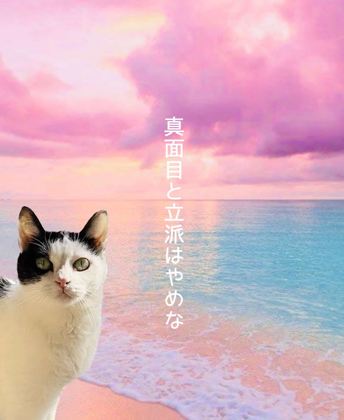 真面目と立派はやめな