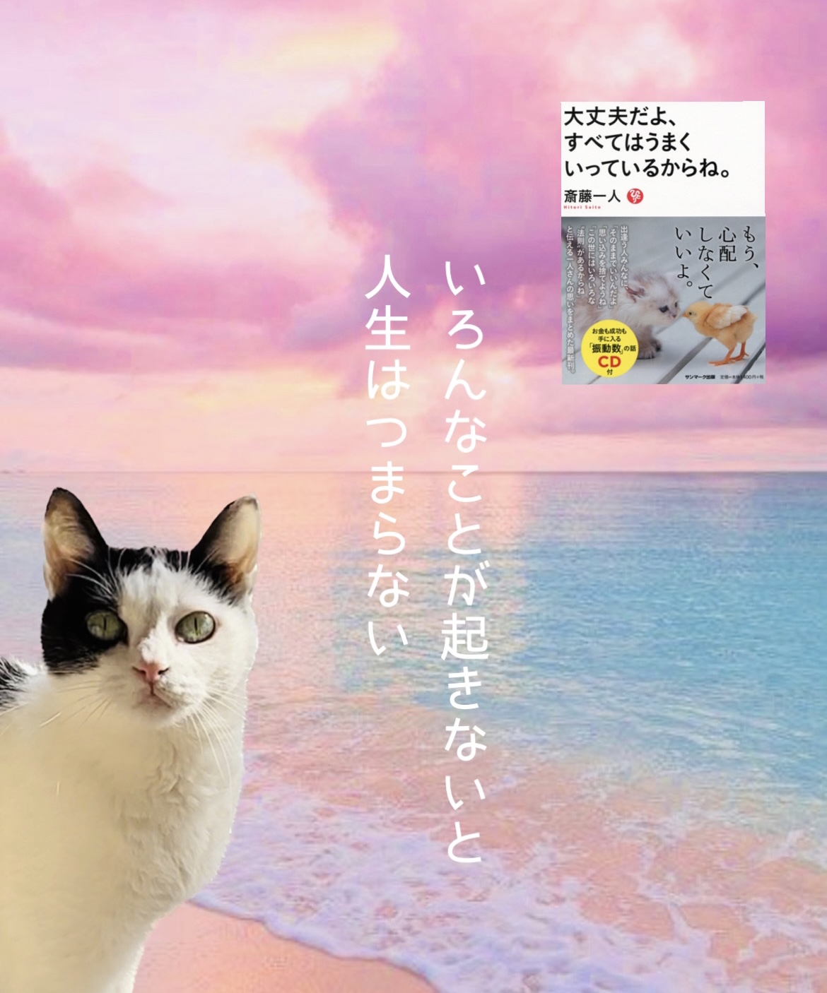 いろんなことが起きないと 人生はつまらない
