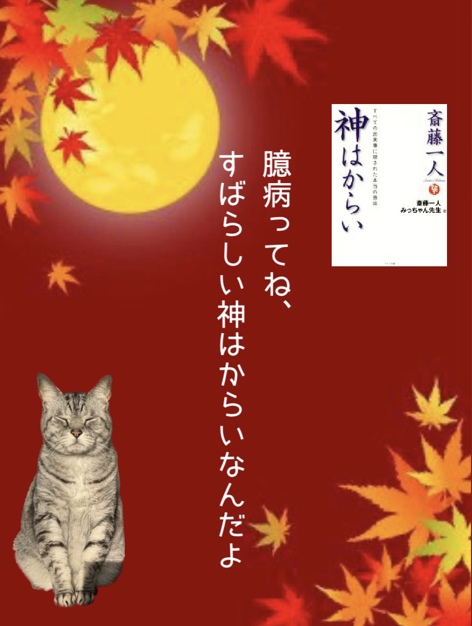 臆病ってね、 すばらしい神はからいなんだよ