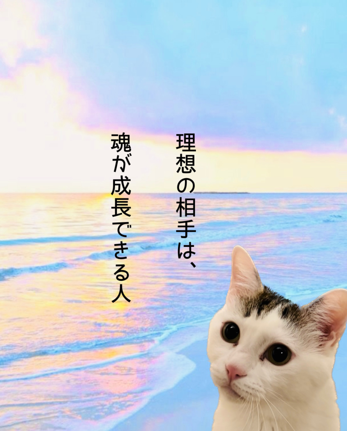 理想の相手は、魂が成長できる人