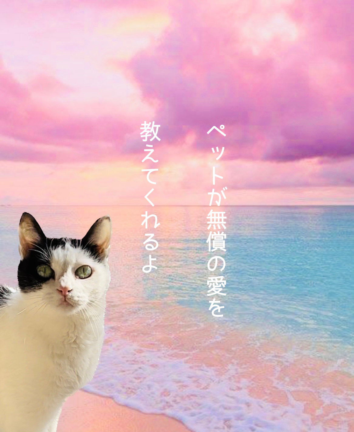 ペットが無償の愛を 教えてくれるよ